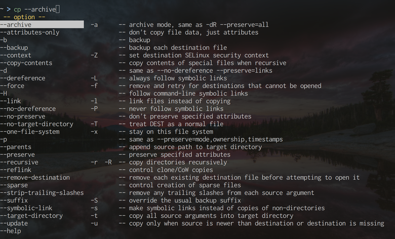 Zsh completion in action