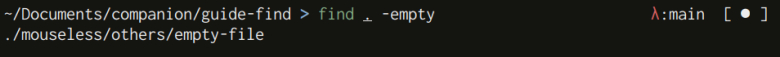 Output of the CLI find using test expression -empty