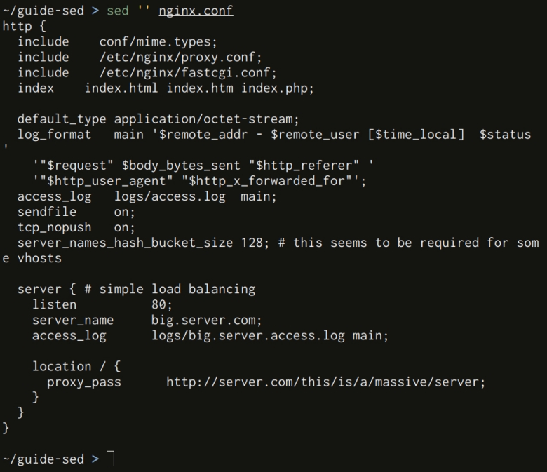 Running sed without script output the whole input